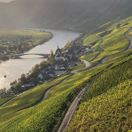 Weingut Lehnert-Spaeter Piesport Extérieur photo